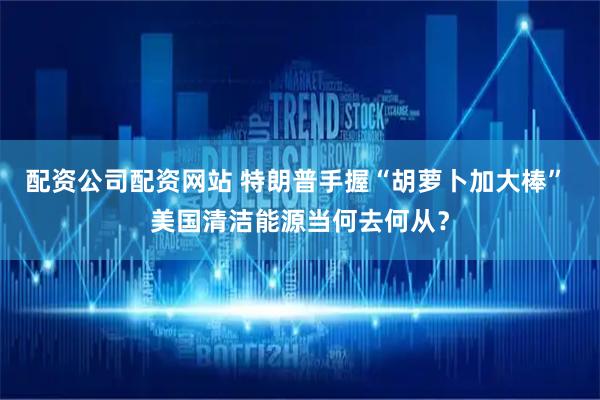 配资公司配资网站 特朗普手握“胡萝卜加大棒” 美国清洁能源当何去何从？