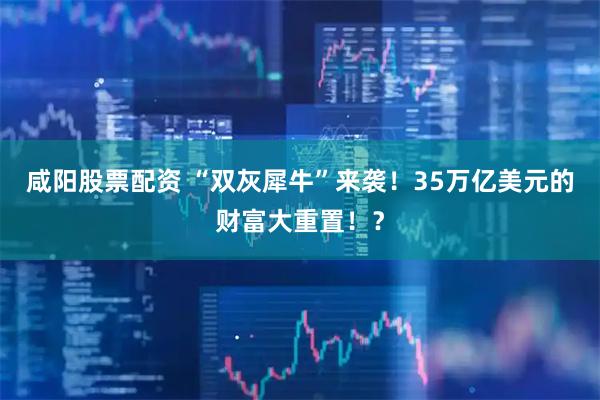 咸阳股票配资 “双灰犀牛”来袭！35万亿美元的财富大重置！？